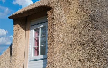 Urlay Nook thatch roof disadvantages